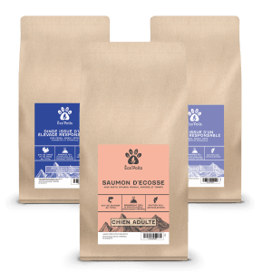 Croquette Pour Chien